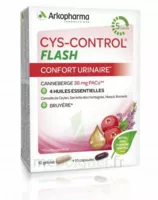 Cys-control Flash 36mg Gélules B/20 à Vélines