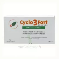 Cyclo 3 Fort, Gélule Plq/60 à Vélines
