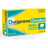 Dolipraneorodoz 500 Mg, Comprimé Orodispersible à Vélines