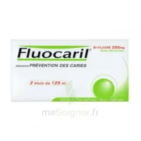 Fluocaril Bi-fluoré 250 Mg Pâte Dentifrice Menthe 2t/125ml à Vélines