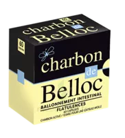 Charbon De Belloc 125 Mg Caps Molle B/60 à Vélines